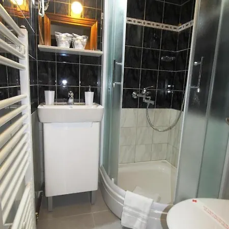 Pensionat In Bb - Pansion Stari Grad With Private Parking *